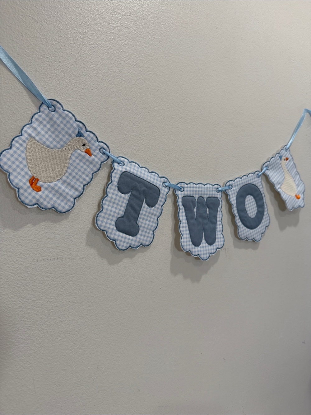 Two Blue Gingham Party Banner - Baby/Children's Celebration